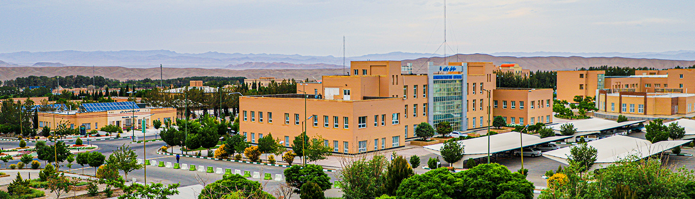 Univerzitet  Birjand