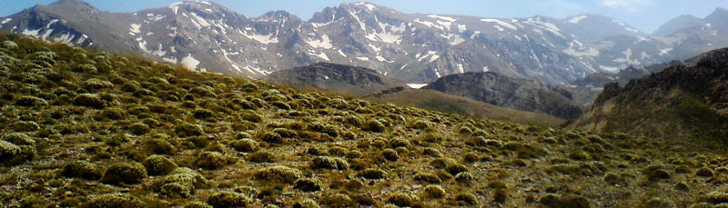 Planina Aish-e-Ala i podnožje Taghestana, prirodno stanište životinja u srcu suhe pustinje