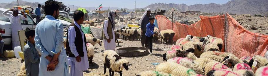 Noć Kurban-bajrama u selu Khorundeh, vrijeme hvale Svemogućeg Boga