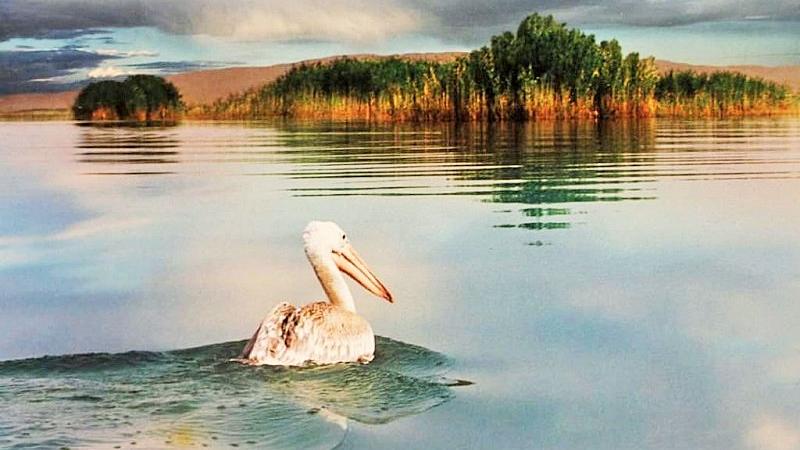 Rezervat biosfere Aržan i Parišan, najstariji rezervat biosfere u Iranu