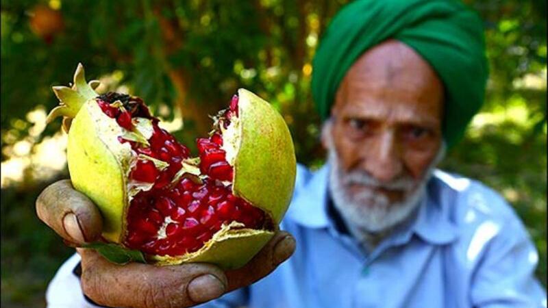 Aban, sezona nara u Jezdu