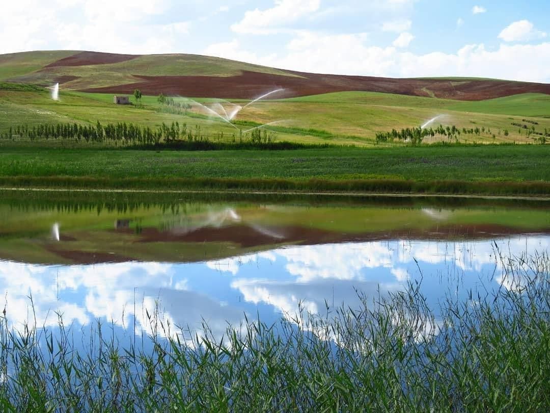 تالاب یانیق، نگینی در جنوب آذربایجان شرقی