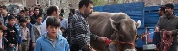 36. dan proljeća, poseban dan za stanovnike Esfanjana